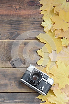 The old camera among a set of yellowing fallen autumn leaves on a background surface of natural wooden boards of dark brown color