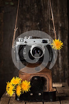 Old camera and yellow dandelions. vintage still life