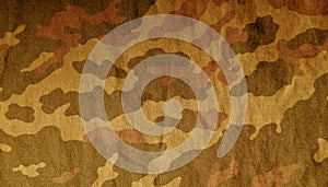 Old camouflage cloth pattern.