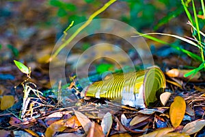 Old Can on the Ground