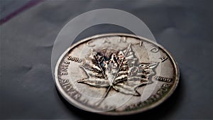 canada maple leaf silver coin