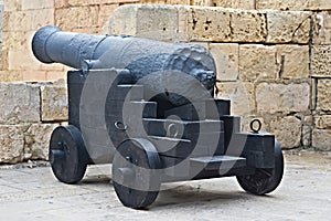 The old cannon