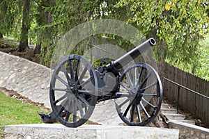 Old cannon