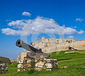 Old cannon near a medieval castle