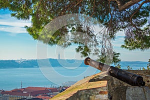 Old cannon under a tree on the wall of the castle of St. George in Lisbon, Portugal. View of the River Tagus / rio Tejo