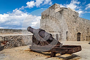 Old cannons