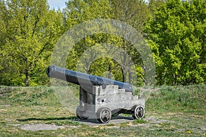 Old canon standing in bourtange with a green threeline on the background
