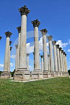 Old Capitol Columns at the Botanical Garden in DC