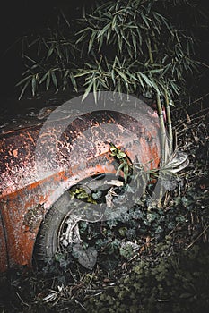 Old car from the 90s abandoned among plants. Abandoned Argentine R12 car full of mold