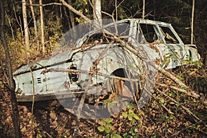 Old car abandoned in the forest/Old car in the woods