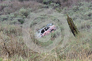 Old car crashed and vandalized, California photo