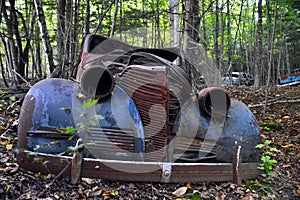 Old Car in the Forest