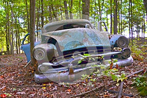 Old Car in the Forest