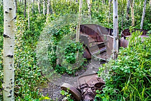 Old car found in the woods at the ranch. Glenbow Ranch Provincial Recreation Area Alberta Canada