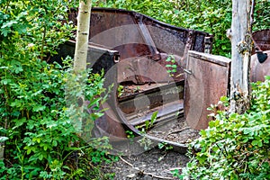 Old car found in the woods at the ranch. Glenbow Ranch Provincial Recreation Area Alberta Canada