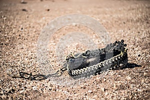 Old car tire on the sand in desert.