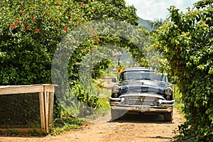 Old car in Vinales, Cuba