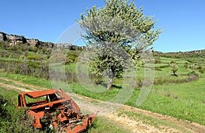 An old car weck in a landscape