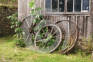 Old Carriage Wheels
