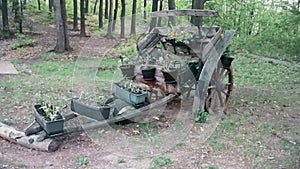 Old carriages with decorative flowers