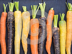 Old carrot varieties