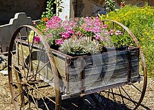 Old cart filled with blooming flowers