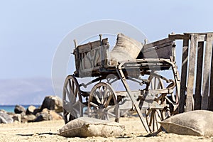 The old cart horse