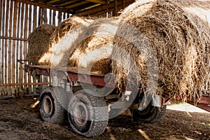 Old cart with sunlit round bales of hay in old rustic barn.