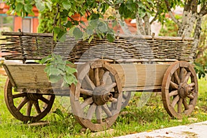 Old cart under the tree.