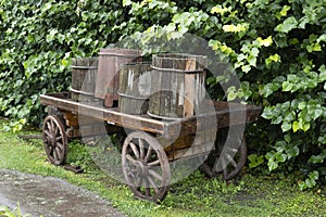 Old cart with wooden barrels in the garden in heavy rain