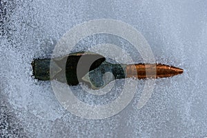 Old cartridge in the snow