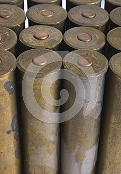 Old cartridges for shotgun