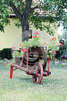 Old carts and red flowers