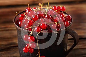 Old cast iron black cup full fresh ripe red currant