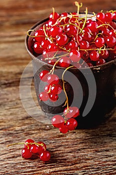 Old cast iron black cup full fresh ripe red currant