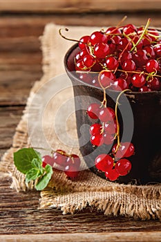 Old cast iron black cup full fresh ripe red currant