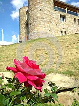 Old castel and winary