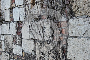 Old castle brick wall texture pattern