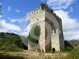 MEDIEVAL CASTLE IN ESPINOSA DE LOS MONTEROS, BURGOS photo