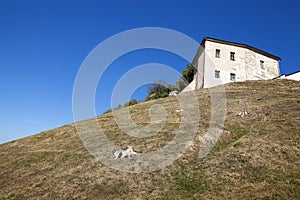 Old castle Grodno