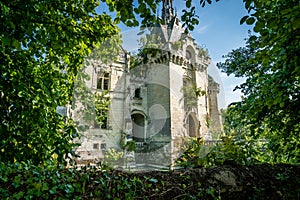 Old castle lost in the forest with trees inside