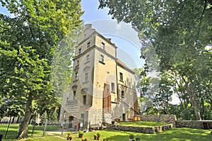 Old Castle in P?oty, Poland