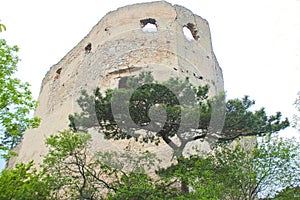 old castle ruin tower in the woods with a tree in front