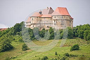 Old Castle in Velki Tabor, Croatia