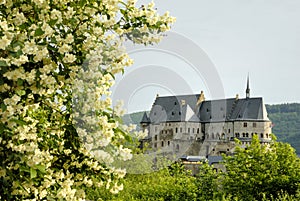 The old castle of Vianden