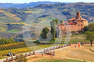 Old castle and vineyards in Piedmont, Italy.