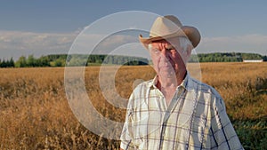 Old caucasian man in a cowboy hat walk in a field of wheat at sunset