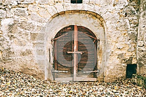 Old cellar door