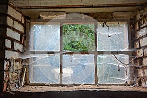 Old cellar window with spider webs and a missing glass pane