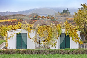 old cellars and autumn vineyards near Retz, Lower Austria, Austria